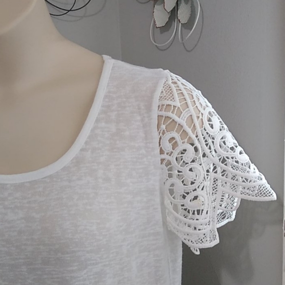 The Limited Parker Lace Sleeve Top - Picture 5 of 5